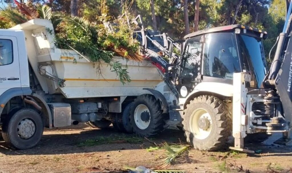 İlkadım’da ağaçlar, kent estetiği için budanıyor