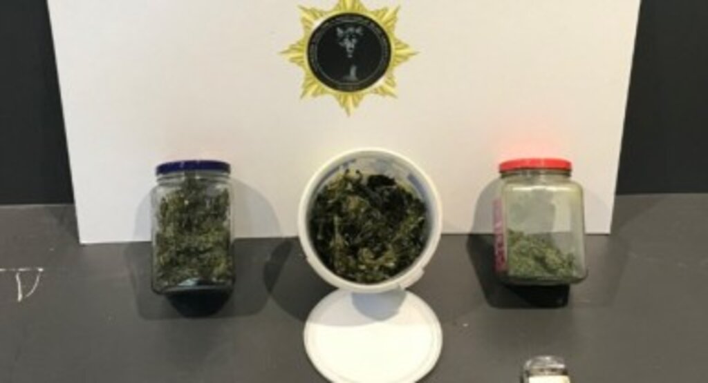 İlkadım'da Operasyon: Polis 175 Gram Esrar Ele Geçirdi