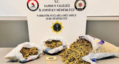 Samsun’da Büyük Operasyon: 5 Kilo 700 Gram Skunk Ele Geçirildi, 4 Şahıs Gözaltında