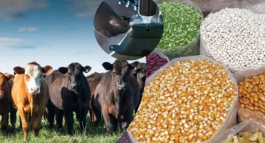 2 milyar 298 milyon tarımsal destekleme ödemesi çiftçilerin hesaplarına aktarıldı
