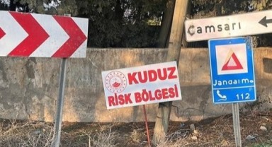 Hatay’da kuduz vakası: Bir mahalle karantinaya alındı