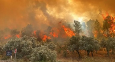 Kaçak kazı yaparken orman yakan sanıklara 18 yıla kadar hapsi istemi