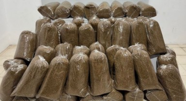 Samsun'da Kilolarca Kaçak Tütün Ele Geçirildi