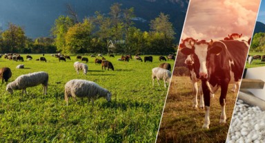 Tarım Sigortalarında Yeni Dönem: Üreticilere Özel Avantajlar