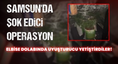 Samsun'da Elbise Dolabında Kenevir Serası!