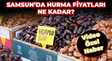Samsun'da Hurma Fiyatları Ne Kadar?