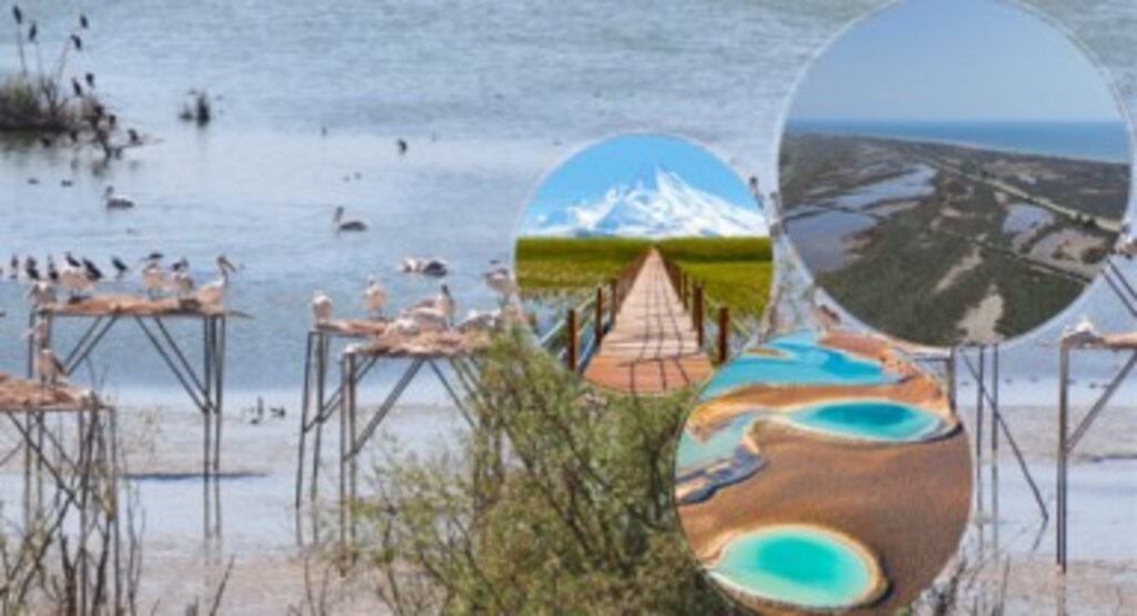 Tarım ve Orman Bakanı İbrahim Yumaklı: “Sulak Alanlarımızı Koruyarak Doğal Değerlerimizi Sürdürülebilir Kullanıma Sunacağız”