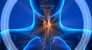 Endokrinoloji Nedir Hangi Hastalıklara Bakar