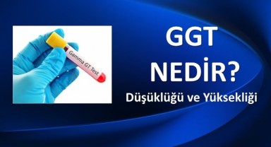Gamma Glutamyl Transferase Yüksekliği Nedir