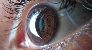 Göz Hastalıkları Retina Nedir