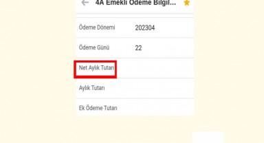 Net Aylık Tutarı Birikmiş Ödeme Tutarı Nedir