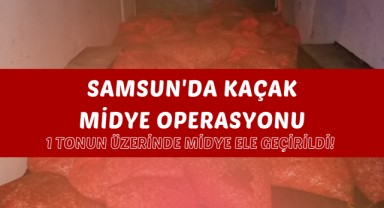 Samsun'da Kaçak Midye Operasyonu: 1 Tonun Üzerinde Midye Ele Geçirildi!