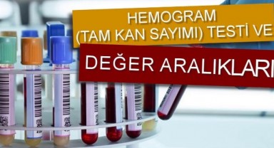 Tam Kan Sayımı (Hemogram Nedir)