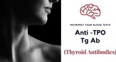 Tiroid Peroksidaz Antikorları (Anti Tpo) Nedir