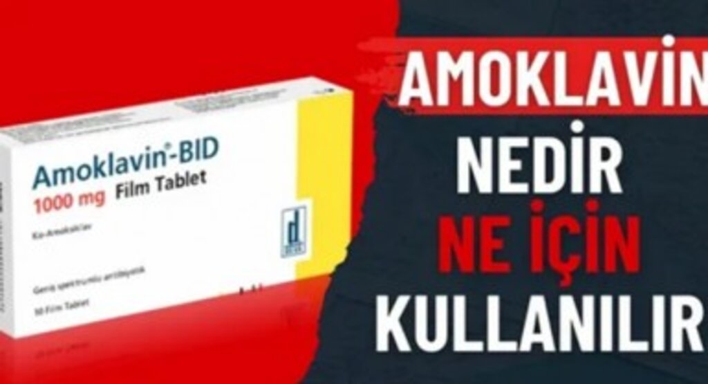 Amoklavin 1000 Mg Ne İçin Kullanılır
