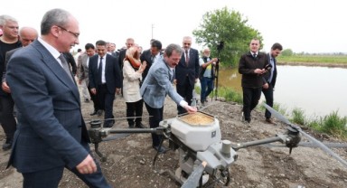 Bafra Ovası'nda Bereket Vakti! 11. Geleneksel Çeltik Ekim Töreni Yapıldı