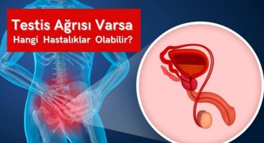 Cinsel Organın Ucunda Ağrı Nasıl Geçer