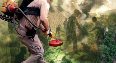 Diyarbakır'da Büyük Uyuşturucu Operasyonu! Milyonlarca Kök Kenevir ve Skunk Ele Geçirildi