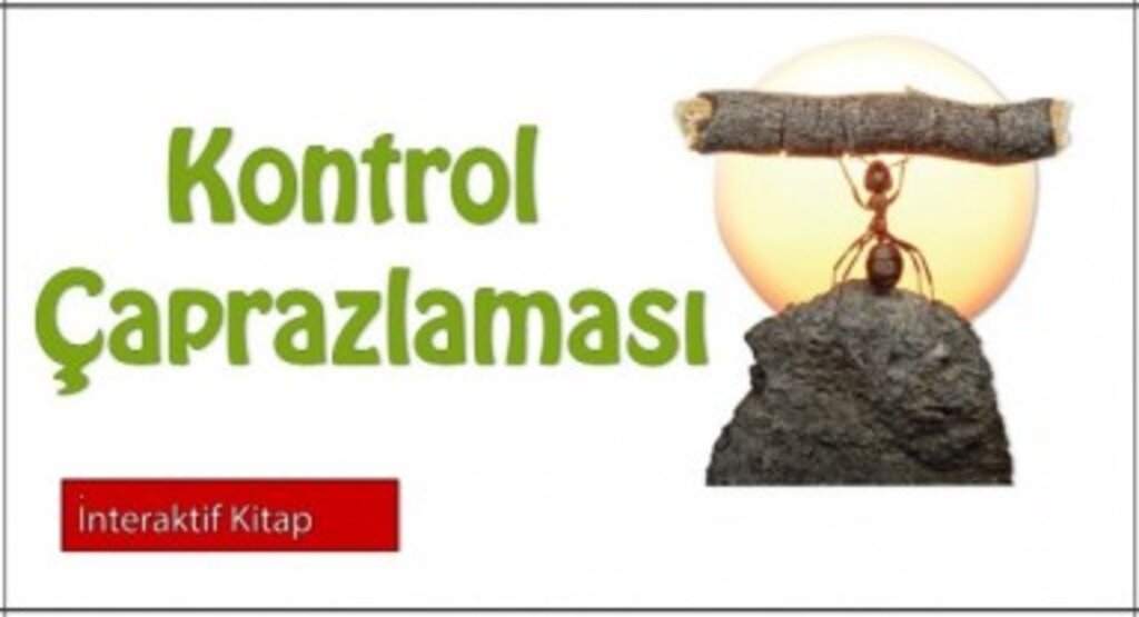 Kontrol Çaprazlaması Nedir
