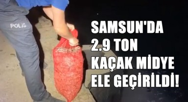 Samsun'da 2.9 Ton Kaçak Midye Ele Geçirildi!