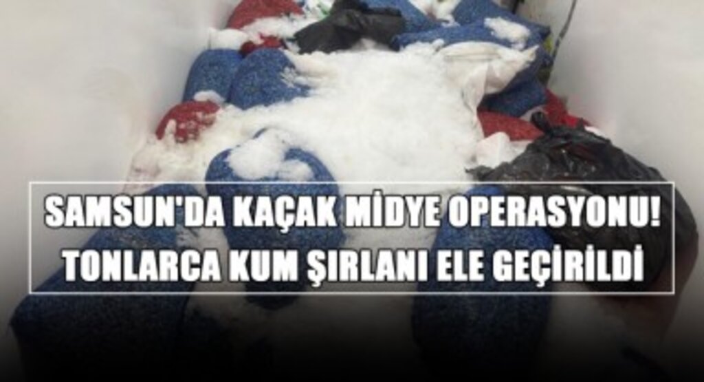 Samsun'da Kaçak Midye Operasyonu! Tonlarca Kum Şırlanı Ele Geçirildi