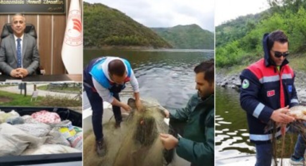 Samsun'da Sazangiller Av Yasağı Başladı! Denetimler Sıkılaştı