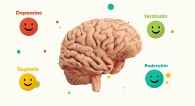 Beyindeki Serotonin Nasıl Artırılır