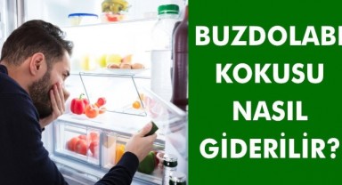 Buzdolabı Leş Kokusu Nasıl Giderilir