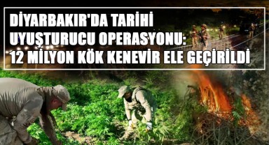Diyarbakır'da Tarihi Uyuşturucu Operasyonu: 12 Milyon Kök Kenevir Ele Geçirildi