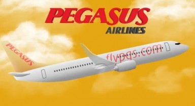 Pegasus İle Nasıl İletişime Geçilir?