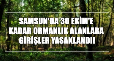 Samsun'da 30 Ekim'e Kadar Ormanlık Alanlara Girişler Yasaklandı!