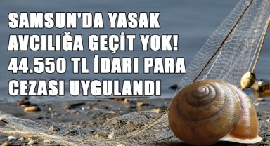 Samsun'da Yasak Avcılığa Geçit Yok! 44.550 TL İdari Para Cezası Uygulandı