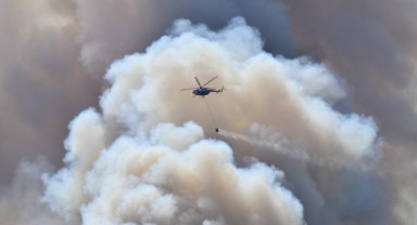 4-22 Temmuz Arasında Çıkan 61 Orman Yangınıyla İlgili 4 Kişi Tutuklandı