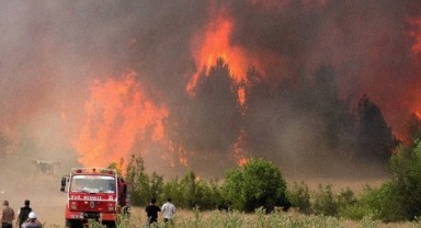 Eskişehir Seyitgazi'de Orman Faciası! 10 Orman İşçisi Şehit Oldu