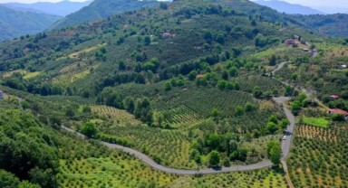 Ordu’dan Samsun’a Ulaşımı Kolaylaştıracak Yol Projesinde Sona Gelindi