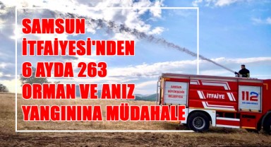 Samsun İtfaiyesi'nden 6 Ayda 263 Orman ve Anız Yangınına Müdahale