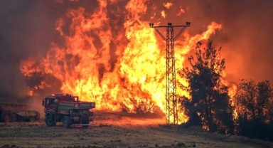 Son 15 Günde Orman Yangınlarıyla İlgili 17 Kişi Tutuklandı