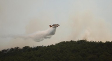 Türkiye Genelinde Çıkan 69 Orman Yangınından 68’i Kontrol Altına Alındı