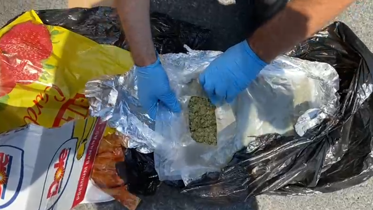 Samsun Otogarında Uyuşturucu Alarmı! Karton Kutudan Kilolarca Skunk Çıktı