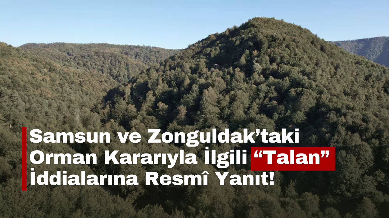 Samsun ve Zonguldak’taki Orman Kararıyla İlgili “Talan” İddialarına Resmî Yanıt!
