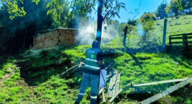 Canik Belediyesi'nden Kokarca Böceğiyle Etkin Mücadele