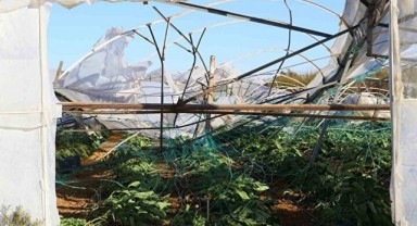 Eylülde Üreticilere 3,15 Milyar Lira Hasar Tazminatı Ödendi