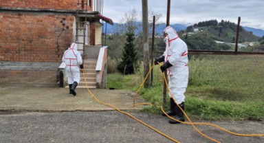 Kahverengi Kokarca ile Mücadelede Büyük Adım: 1 Milyondan Fazla Hanede İlaçlama Yapıldı