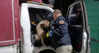 Narkotik Köpeği Şila, Samsun'da Ev Eşyalarının Arasına Gizlenen Uyuşturucuyu Ortaya Çıkardı