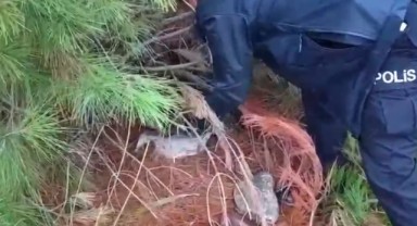 Samsun'da Canlı Bıldırcınla Kurulan Kaçak Av Düzeneği Çökertildi