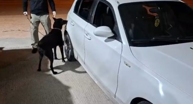 Samsun'da Narkotik Köpeği ÇAKIR, Yakıt Deposuna Gizlenen 302 Gram Metamfetamini Buldu