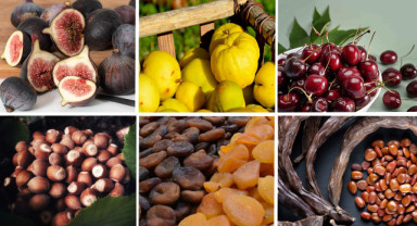 Türkiye, 7 Tarımsal Üründe Dünya Lideri Konumunda