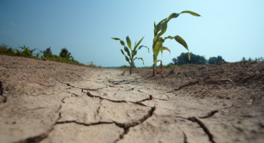 Uzmanlardan Kırmızı Alarm: Türkiye’de Kuraklık Kalıcı Hale Geliyor