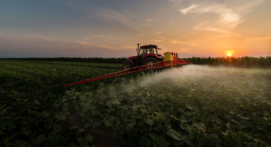 Tarım Sigortalarında Kasım Ayında Üreticiye 4,2 Milyar Lira Ödeme