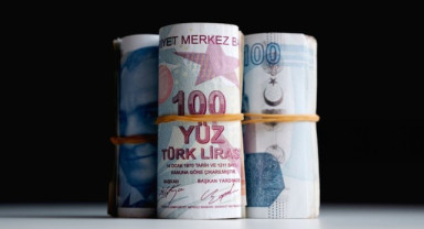 Tarımsal Destekleme Ödemeleri Bugün Hesaplara Yatırılıyor